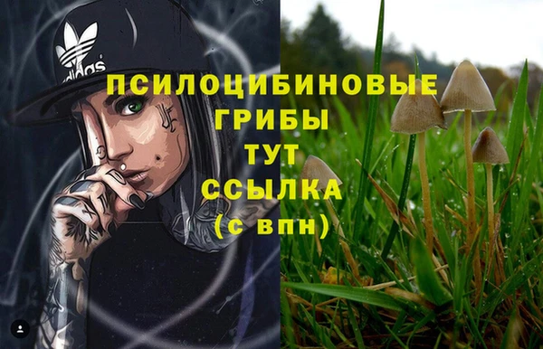 гашишное масло Майский