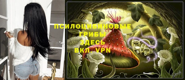 соль ск Липки