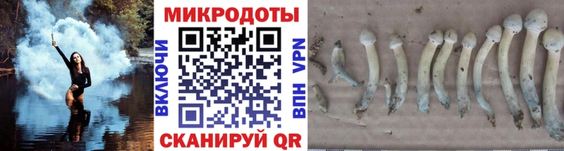 Галлюциногенные грибы Cubensis  Мензелинск 